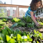 The Importance of Outdoor Science Exploration