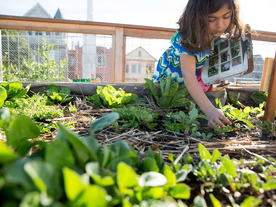 The Importance of Outdoor Science Exploration