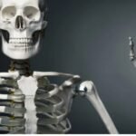 Fun Facts About the Human Body for Kids