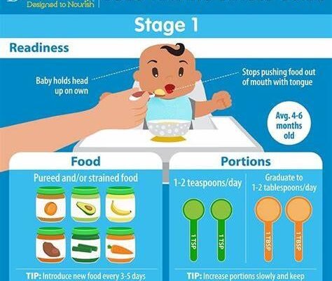 Baby Nutrition: Feeding Tips for Every Stage