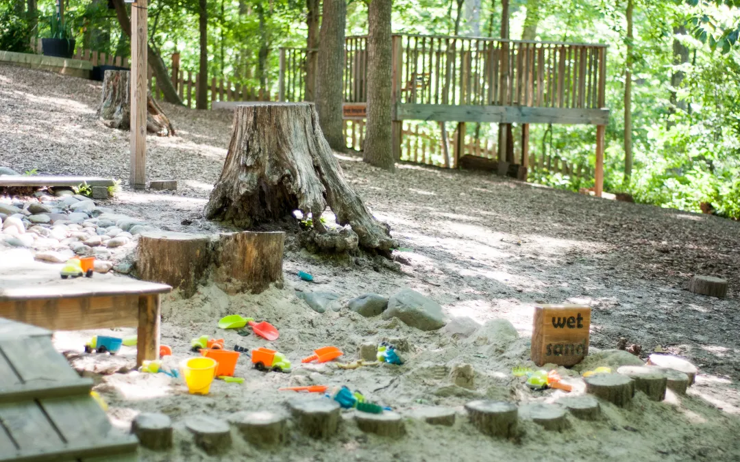 The Role of Nature in Play Spaces