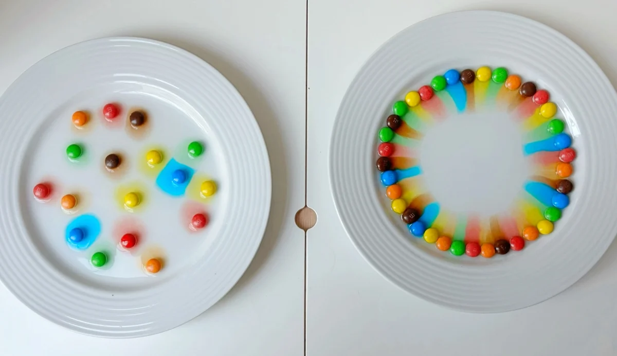 Preschool Science Projects Using Everyday Household Items