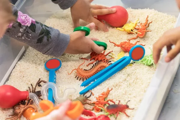 How Sensory Play Boosts Brain Development