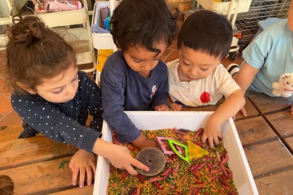 Preschool Science Activities to Spark Curiosity in Young Minds