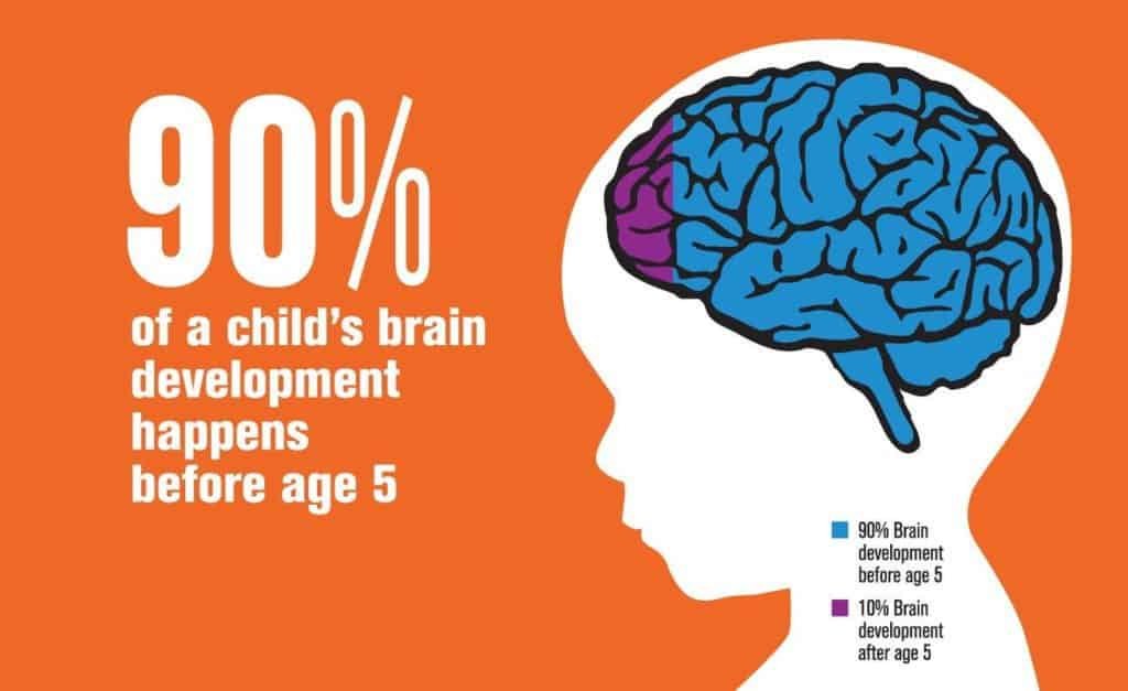 Understanding Brain Development in Children