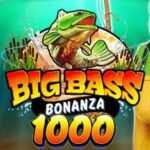 Chasing the Max Win: How to Hit 5,000x+ Multipliers at The Pokies